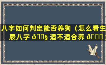 八字如何判定能否养狗（怎么看生辰八字 🐧 适不适合养 🐎 鱼）